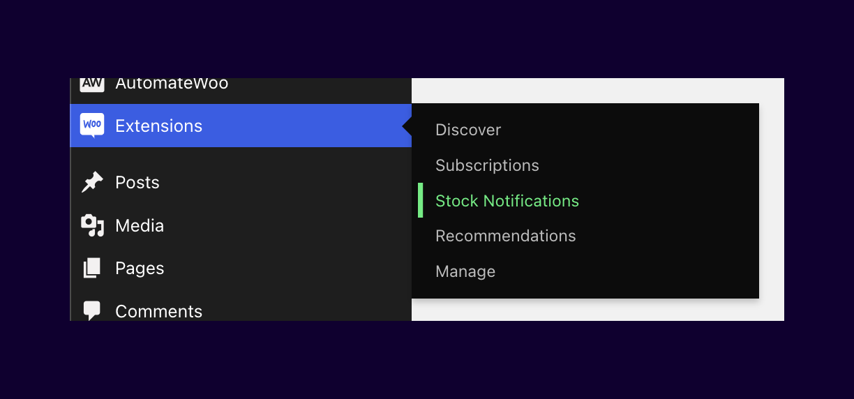 Navigation extensions drawer